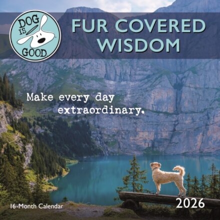 Dog Is Good Fur Covered Wisdom Square Mi