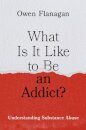 What Is It Like to Be an Addict?