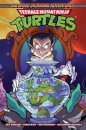 Teenage Mutant Ninja Turtles: Saturday Morning Adventures, Vol. 5