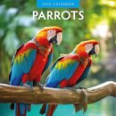 Parrots 2025 Square Wall Calendar