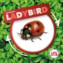 Ladybird