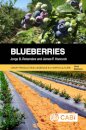 Blueberries
