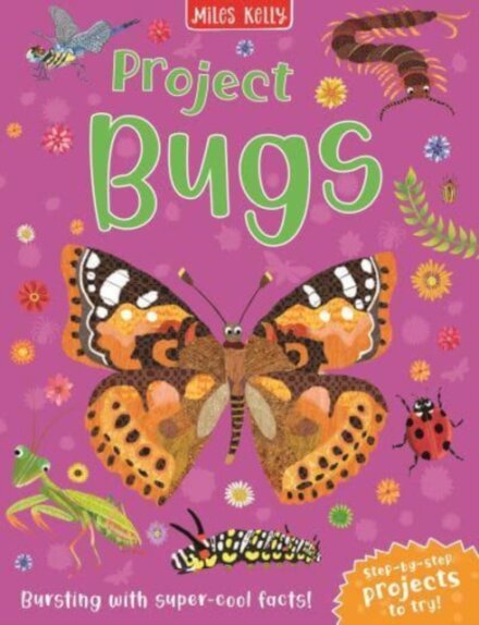 Project Bugs