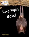 Sleep Tight, Bats!