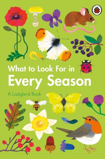 What to Look For in Every Season : A Ladybird Book Boxset