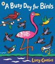 A Busy Day For Birds
