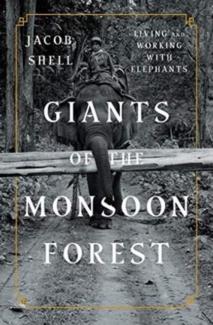 Giants of the Monsoon Forest