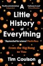 A Little History of Everything