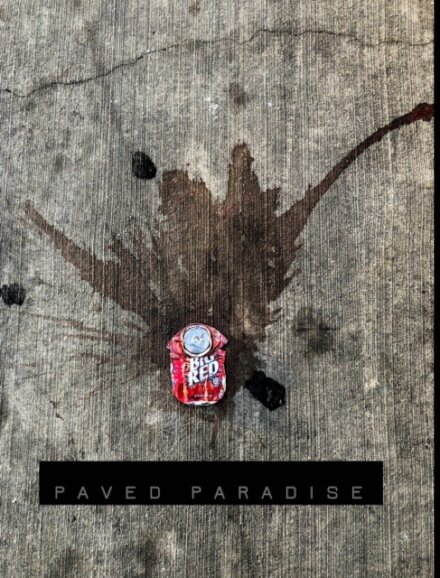 Paved Paradise