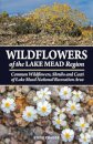 Wildflowers of the Lake Mead Region