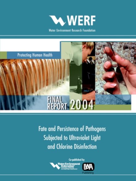 Fate and Persistence of Pathogens Subjected to Disinfection