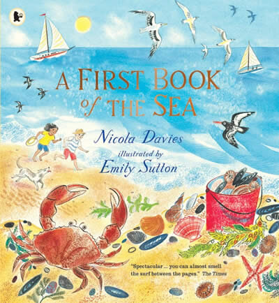 A First Book Of The Sea