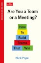 Are You a Team or a Meeting?