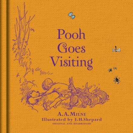 Winnie The Pooh Goes Visiting