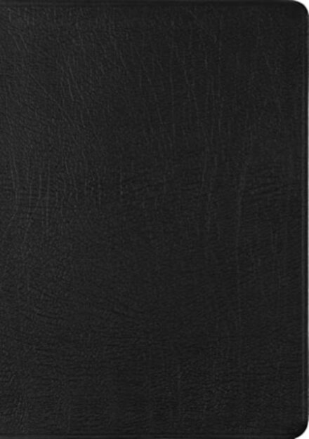 ESV New Testament with Psalms and Proverbs