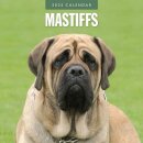 Mastiffs 2025 Square Wall Calendar