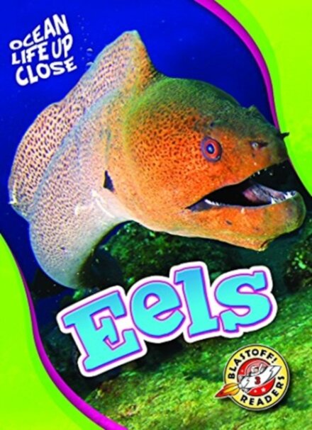 Eels