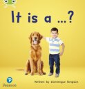 Bug Club Phonics - Phase 2 Unit 3: It is a ...?