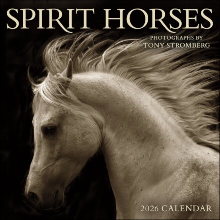 Spirit Horses 2026 Wall Calendar by Tony Stromberg
