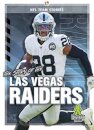 The Story of the Las Vegas Raiders