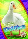 Ducks