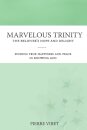 Marvelous Trinity, the Believer's Hope and Delight