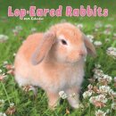 Rabbits - Lop Eared Calendar 2026  Square Animal Wall Calendar - 16 Month