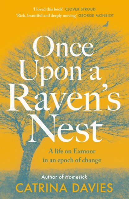 Once Upon a Raven's Nest