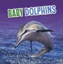 Baby Dolphins