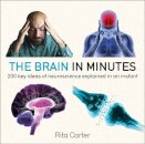 The Brain in Minutes
