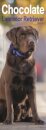 Chocolate Labrador Retriever Slim Calendar 2026  Dog Breed Slimline Calendar - 12 Month