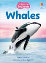 Beginners Whales
