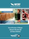 Fate and Persistence of Pathogens Subjected to Disinfection