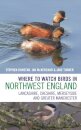 Where to Watch Birds in Northwest England