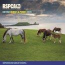 Rspca British Horses Ponies Square Wall