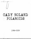 Cady Noland