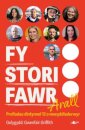 Fy Stori Fawr Arall - Profiadau dirdynnol 12 o newyddiadurwyr