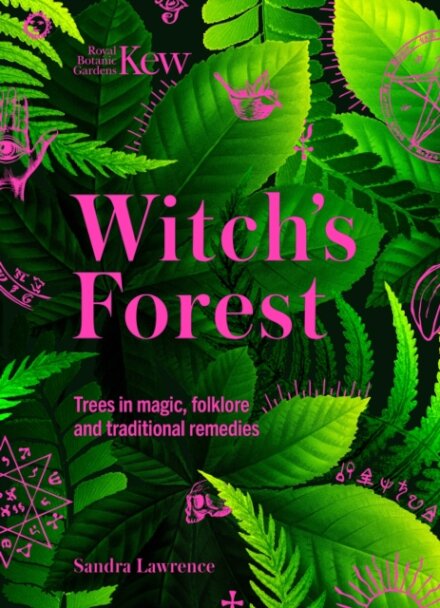 Witch's Forest