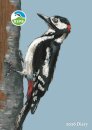 RSPB A6 Diary 2026