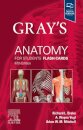 Gray's Anatomy for Students Flash Cards