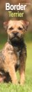 Border Terrier Slim Calendar 2026  Dog Breed Slimline Calendar - 12 Month