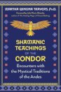 Shamanic Teachings of the Condor