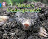 What’s Underground