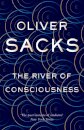 The River of Consciousness