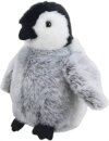 Penguin Chick