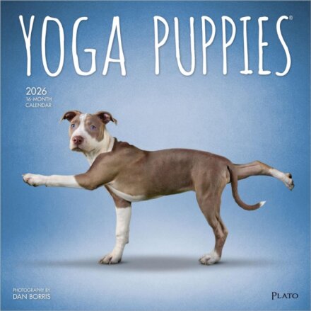 Yoga Puppies 2026 Square Plato Calendar