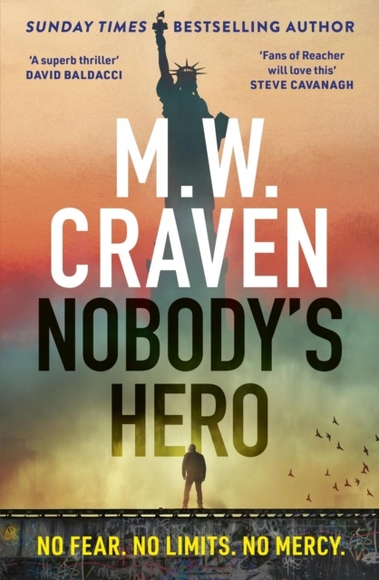 Nobody'S Hero