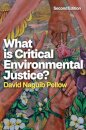 What is Critical Environmental Justice?