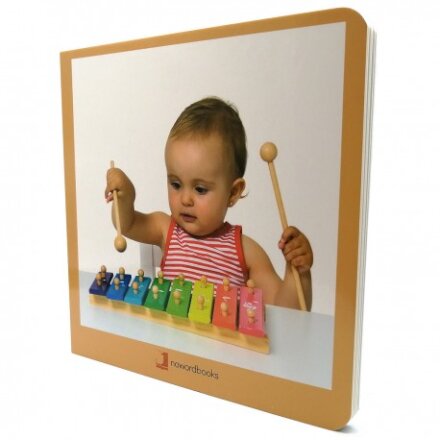 Instrumentos Musicales