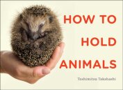 How to Hold Animals